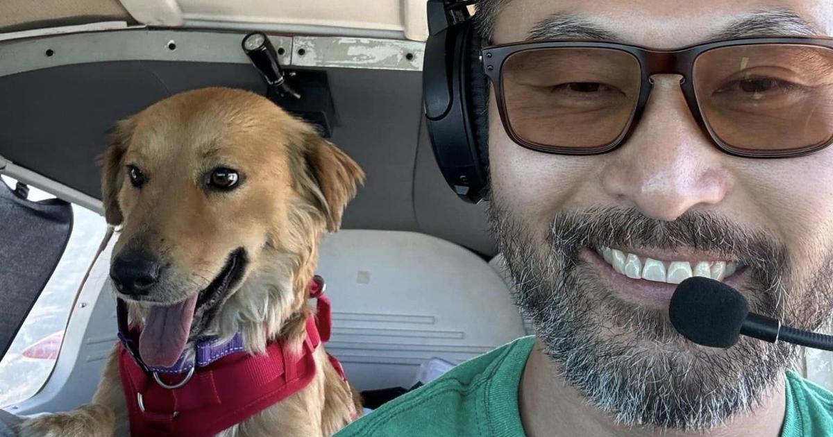 Animal rescue pilot and dog killed in plane crash in the Catskill Mountains; 2 dogs survive - CBS News